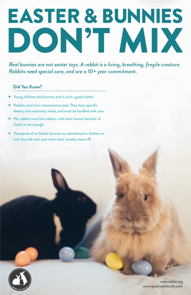 Easter and Bunnies Don't Mix